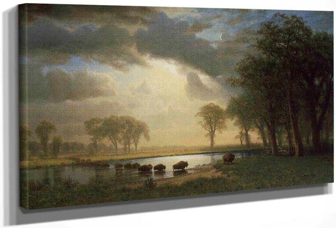 The Buffalo Trail By Albert Bierstadt Fine Art Print