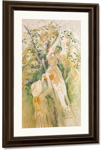 The Cherry Tree Study 1891 44X27Cm Private Collection By Berthe Morisot Fine Art Print