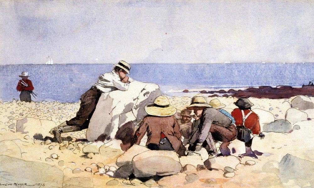 The Clam Bake By Winslow Homer Fine Art Print