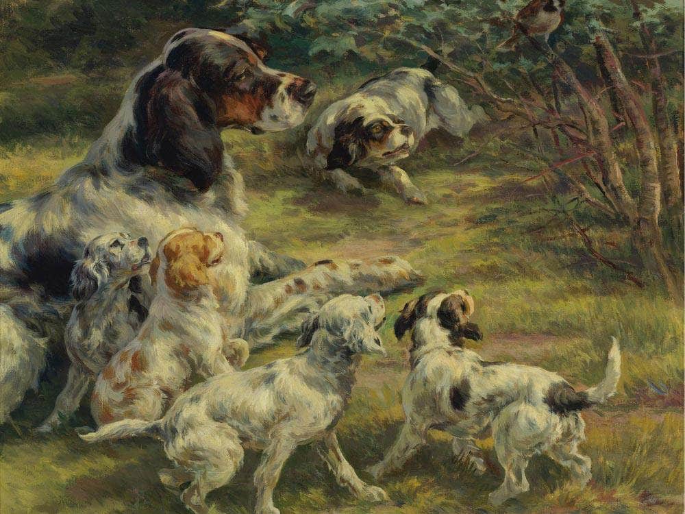 The Curious Pups By Edmund Henry Osthaus Fine Art Print