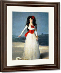 The Duchess Of Alba I By Francisco De Goya Fine Art Print
