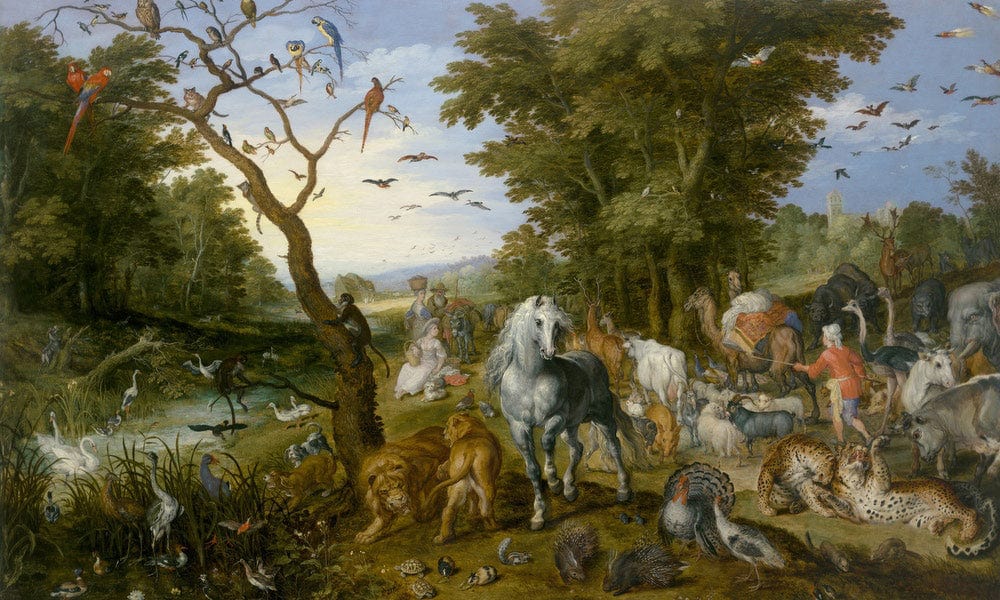 The Entry Of The Animals Into Noah's Ark By Jan Brueghel The Elder Fine Art Print