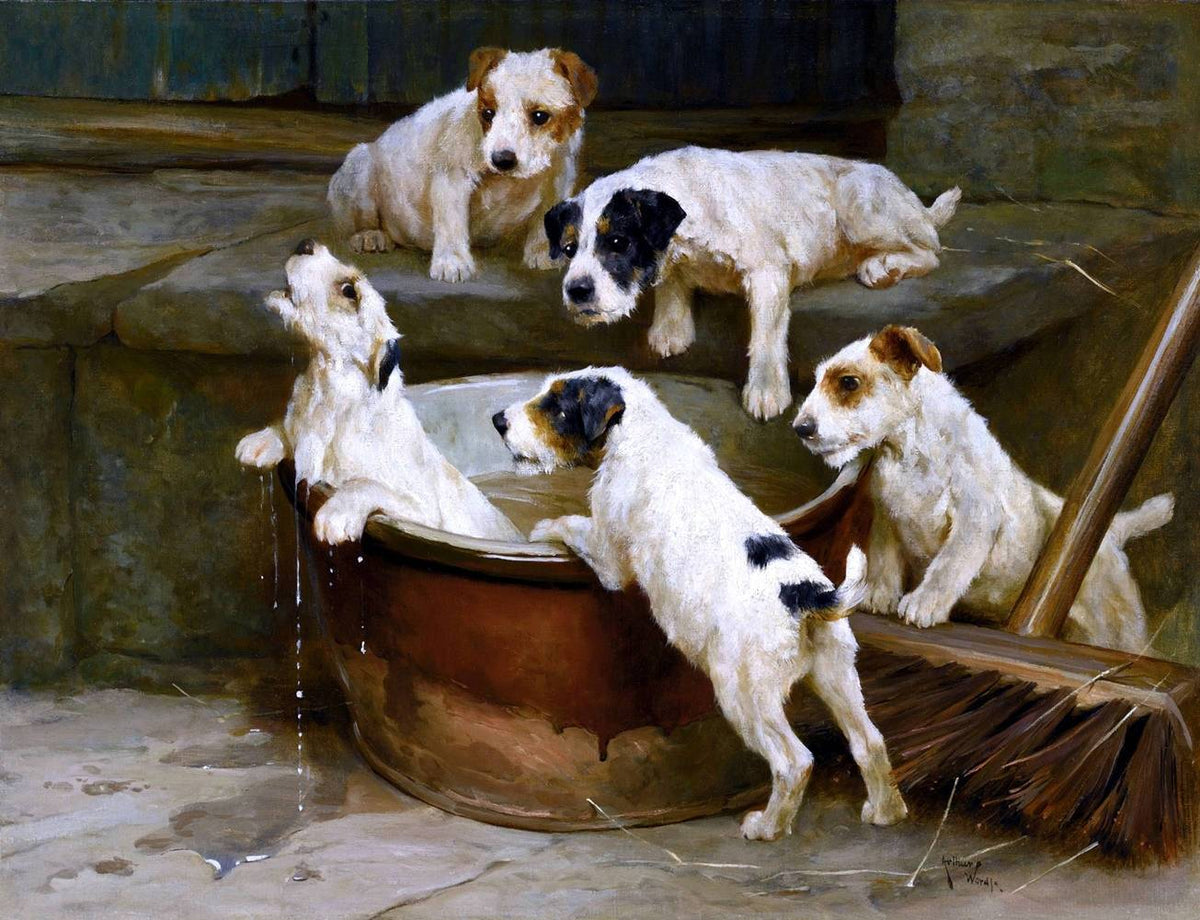 The First Bath Wire Fox Terrier Puppies Painting Arthur Wardle Canvas Art Fine Art Print