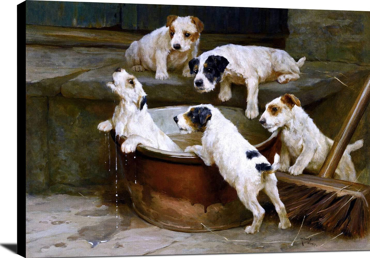 The First Bath Wire Fox Terrier Puppies Painting Arthur Wardle Canvas Art Fine Art Print