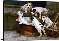The First Bath Wire Fox Terrier Puppies Painting Arthur Wardle Canvas Art Fine Art Print