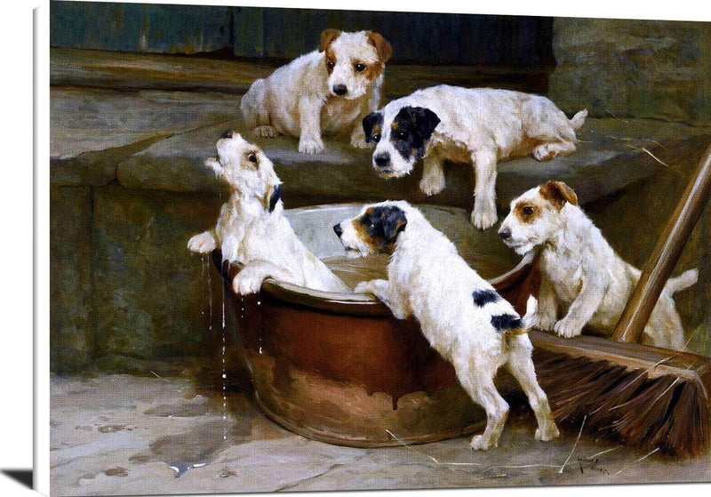 The First Bath Wire Fox Terrier Puppies Painting Arthur Wardle Canvas Art Fine Art Print