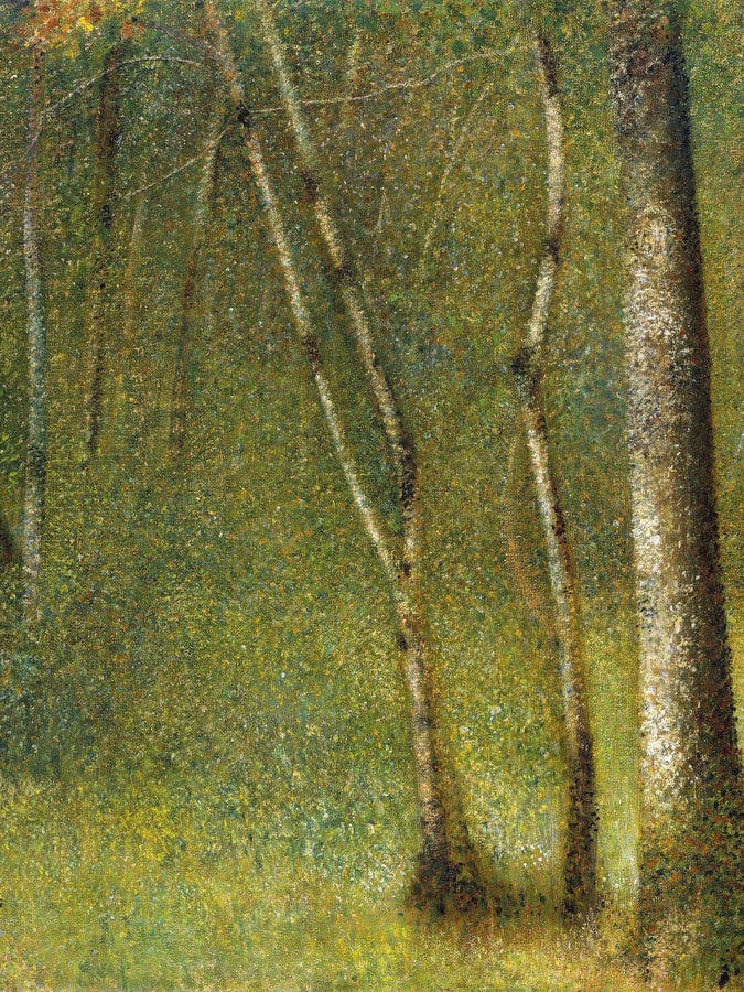 The Forest At Pontaubert By Georges Pierre Seurat Fine Art Print