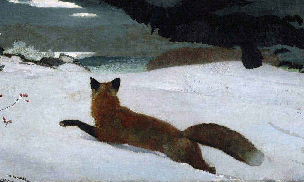 The Fox Hunt By Winslow Homer Fine Art Print