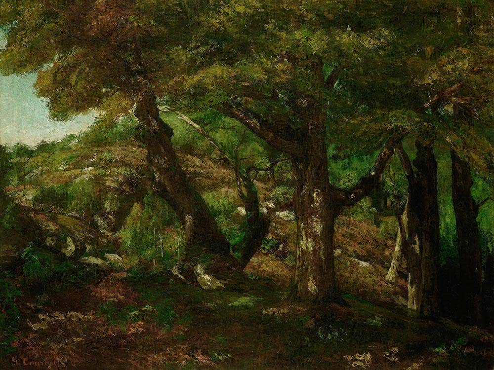 The Fringe Of The Forest By Gusave Courbet Fine Art Print