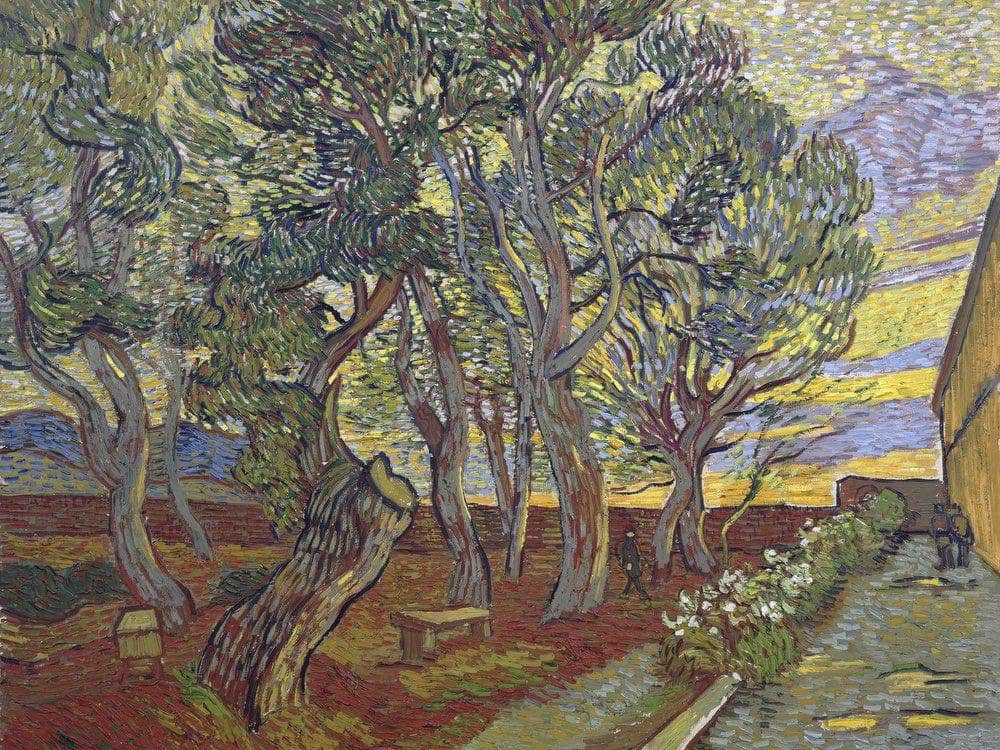 The Garden Of Saint Paul's Hospital 2 By Vincent Van Gogh Fine Art Print