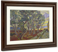 The Garden Of Saint Paul's Hospital 2 By Vincent Van Gogh Fine Art Print
