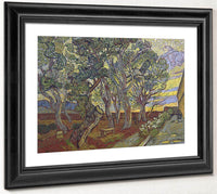 The Garden Of Saint Paul's Hospital 2 By Vincent Van Gogh Fine Art Print