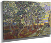 The Garden Of Saint Paul's Hospital 2 By Vincent Van Gogh Fine Art Print