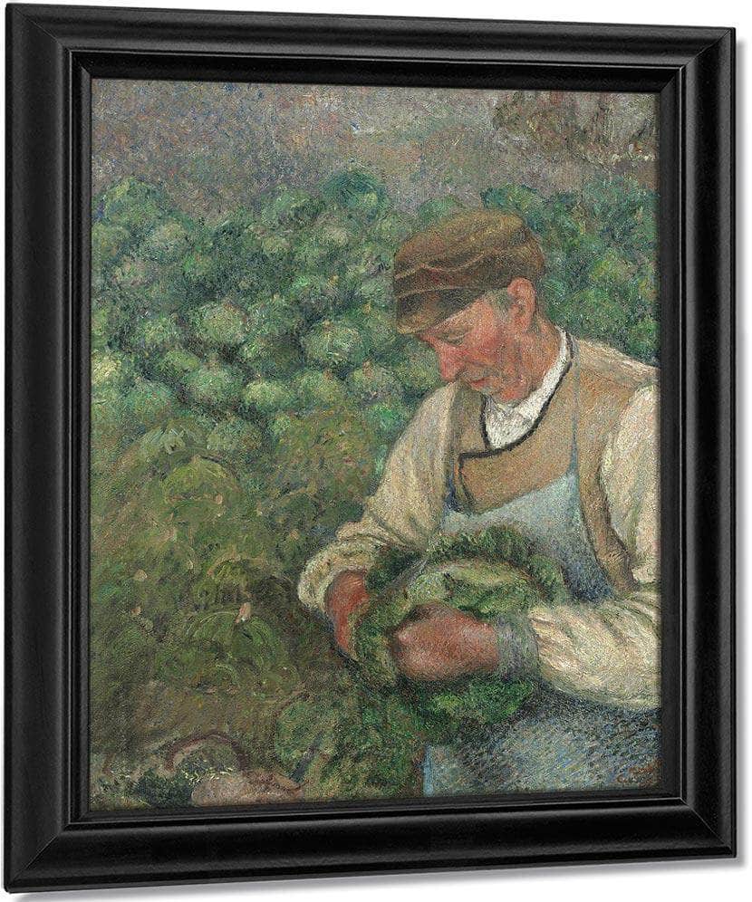 The Gardener Old Peasant With Cabbage By Camille Pissarro Fine Art Print
