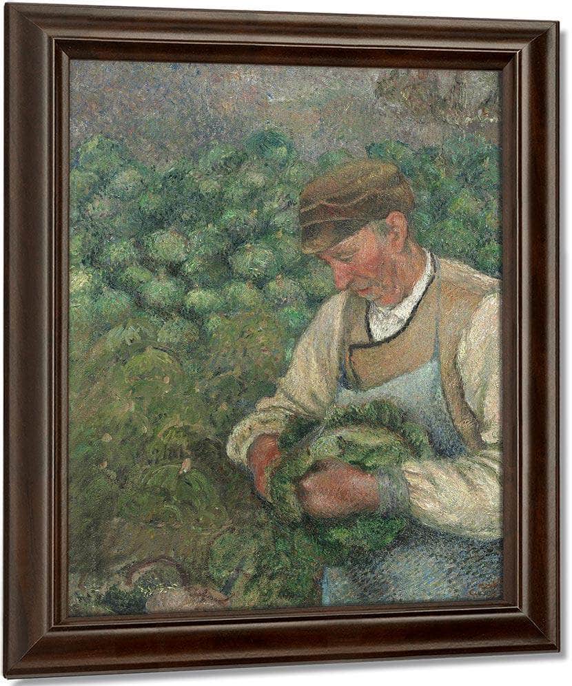 The Gardener Old Peasant With Cabbage By Camille Pissarro Fine Art Print