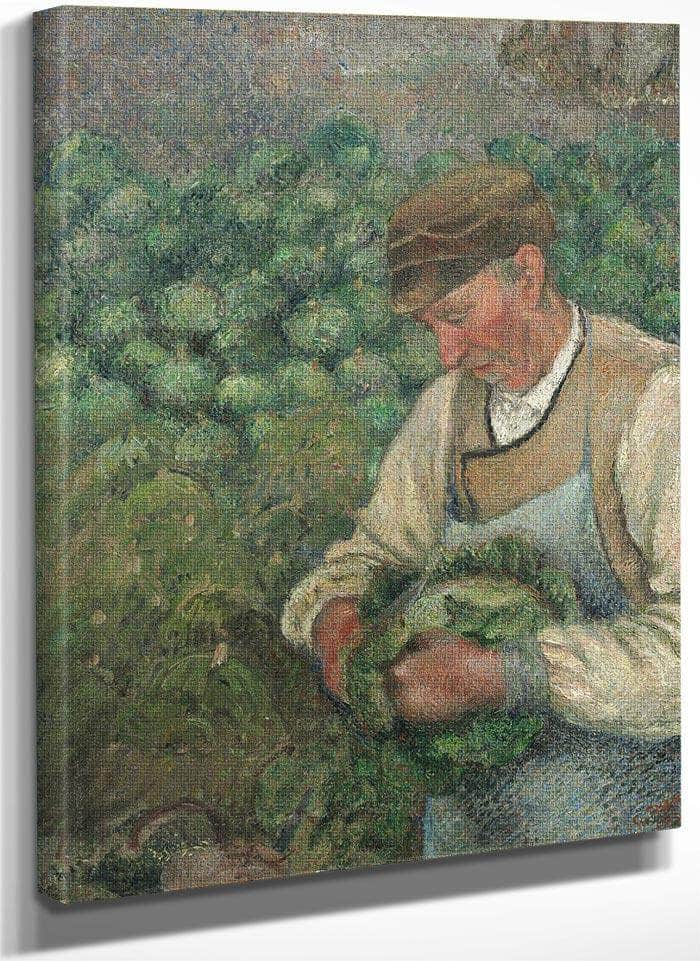 The Gardener Old Peasant With Cabbage By Camille Pissarro Fine Art Print