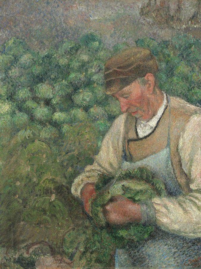 The Gardener Old Peasant With Cabbage By Camille Pissarro Fine Art Print
