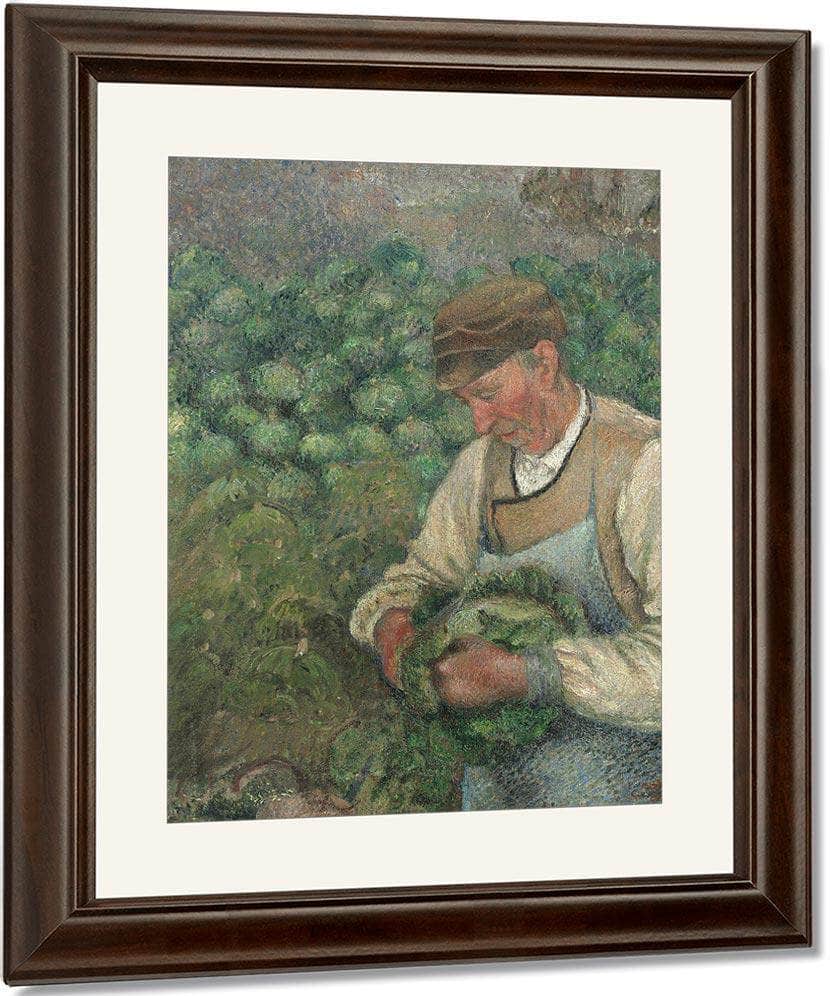 The Gardener Old Peasant With Cabbage By Camille Pissarro Fine Art Print