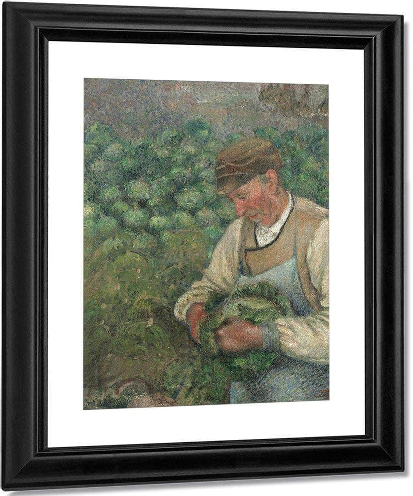 The Gardener Old Peasant With Cabbage By Camille Pissarro Fine Art Print