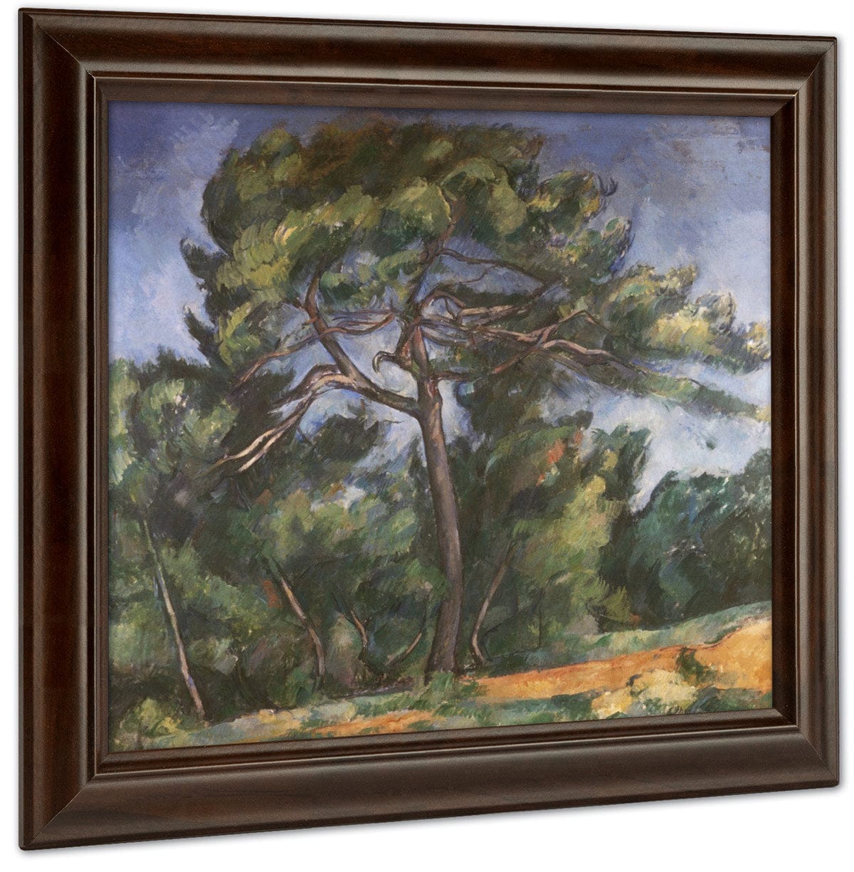 The Great Pine By Paul Cezanne Fine Art Print