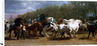 The Horse Fair Painting Rosa Bonheur Canvas Art Fine Art Print