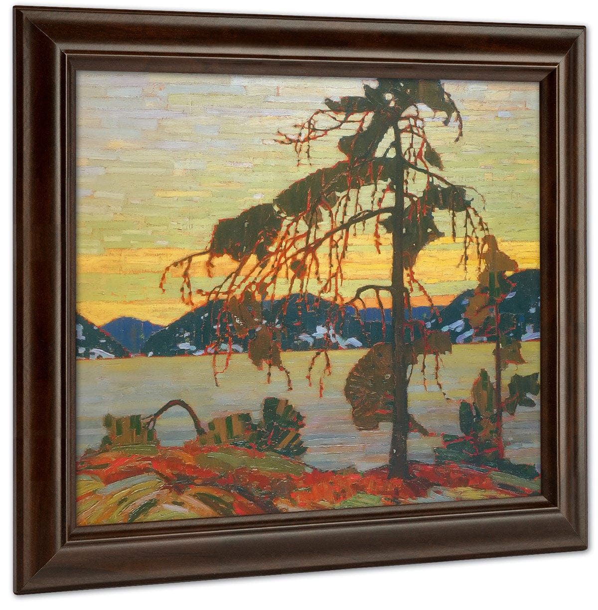 The Jack Pine By Tom Thomson Fine Art Print