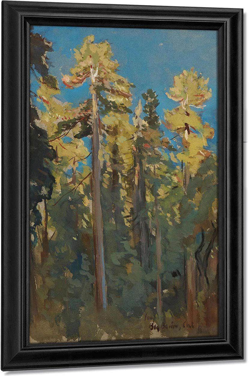 The Last Rays, Big Basin, Cal By Colin Campbell Cooper Fine Art Print