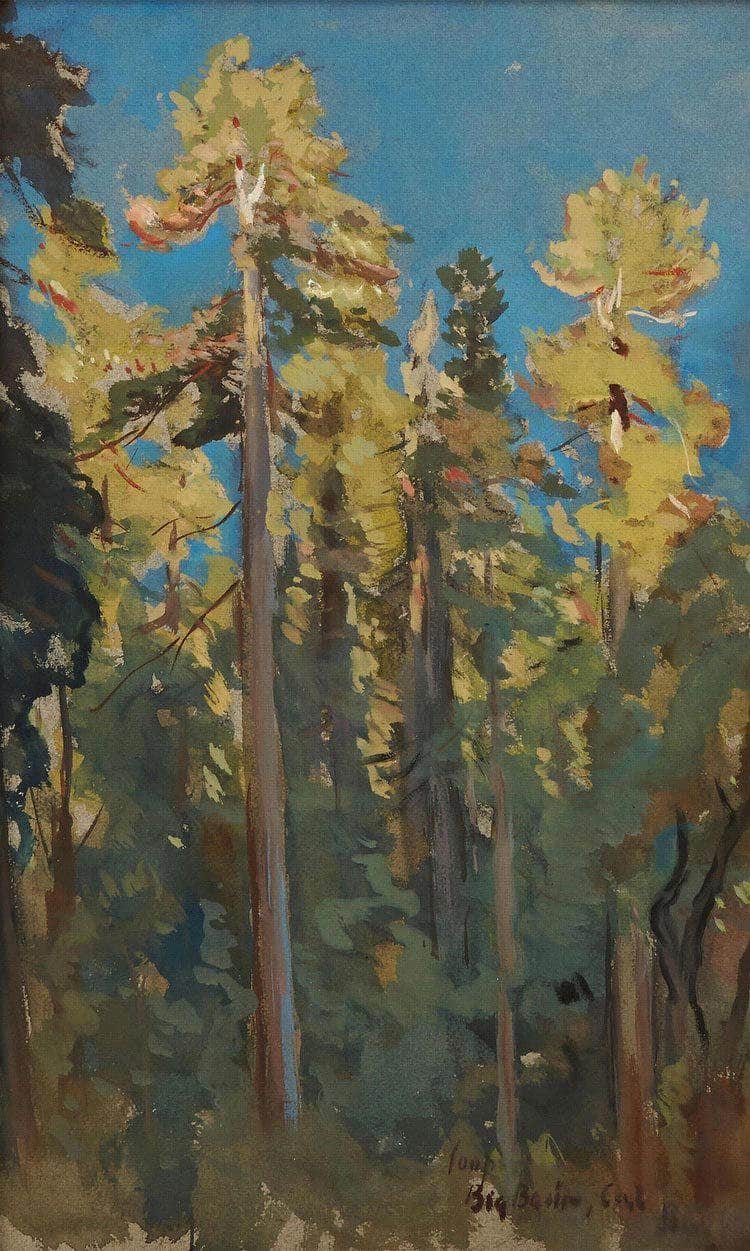 The Last Rays, Big Basin, Cal By Colin Campbell Cooper Fine Art Print