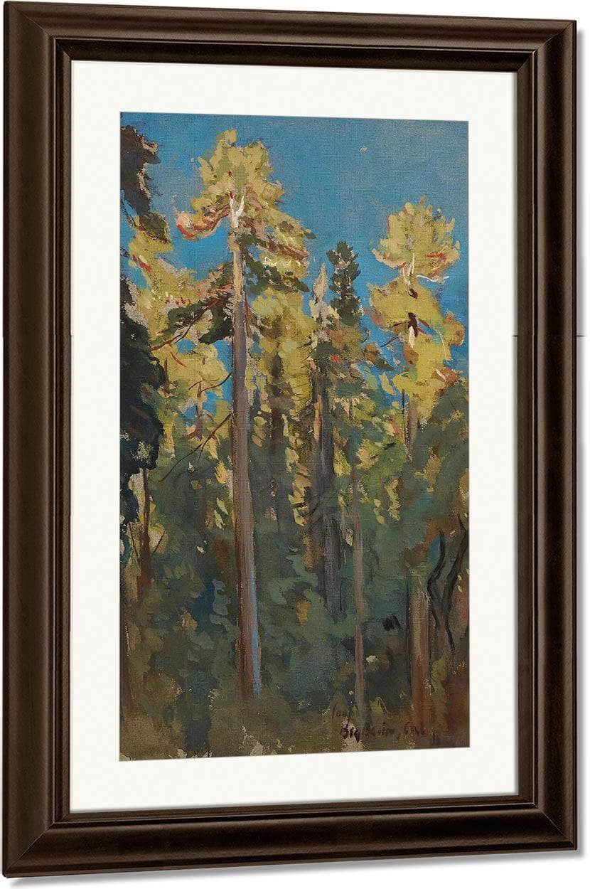 The Last Rays, Big Basin, Cal By Colin Campbell Cooper Fine Art Print