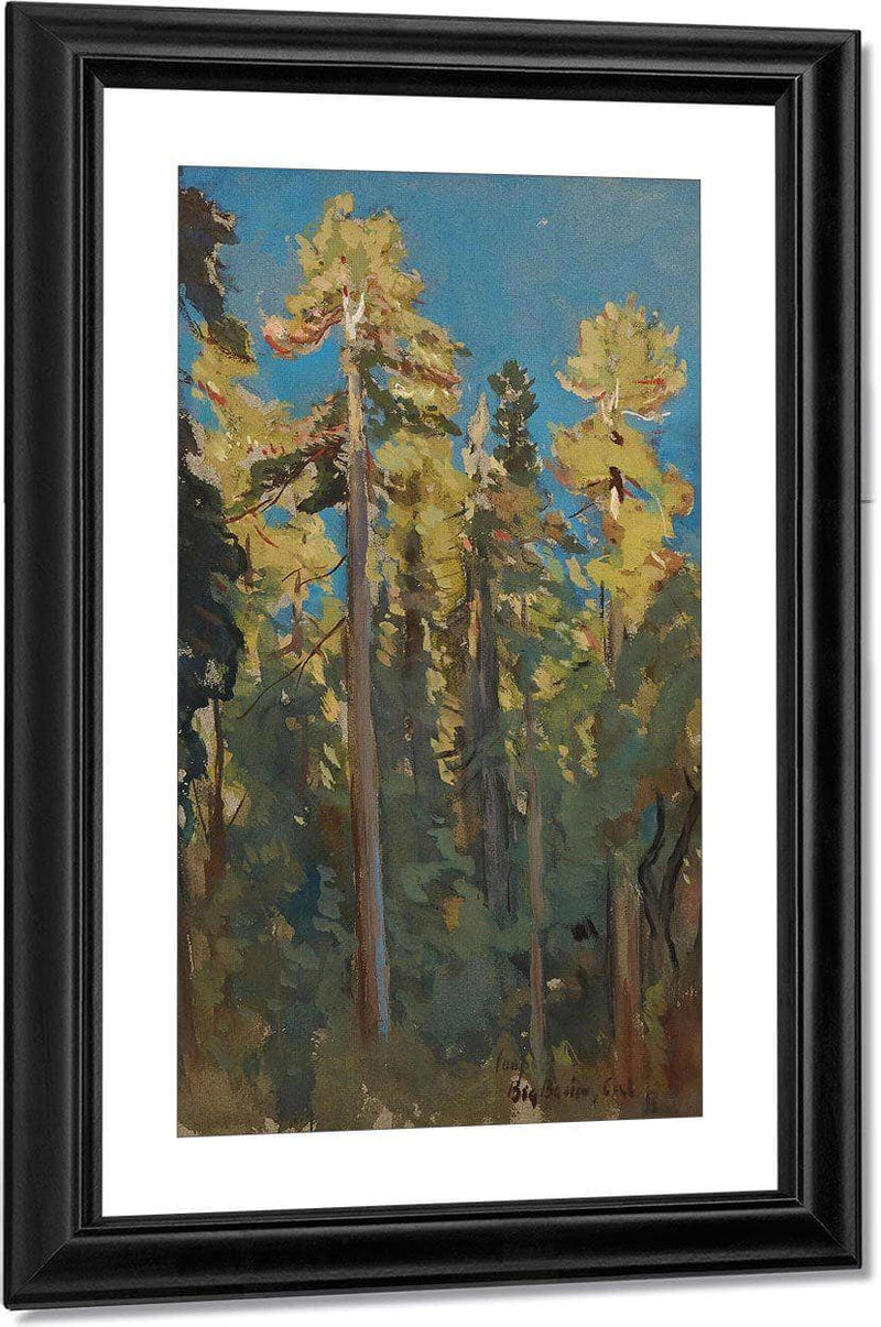 The Last Rays, Big Basin, Cal By Colin Campbell Cooper Fine Art Print