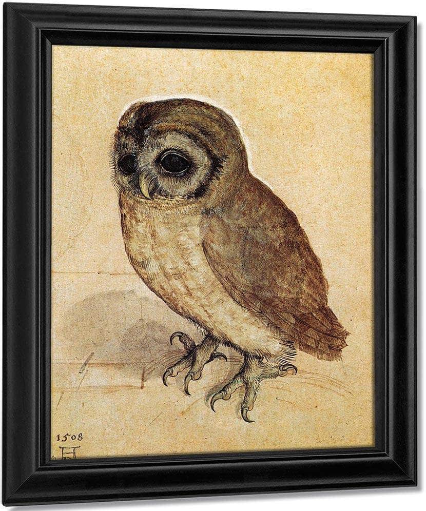 The Little Owl 1506 By Albrecht Durer Fine Art Print