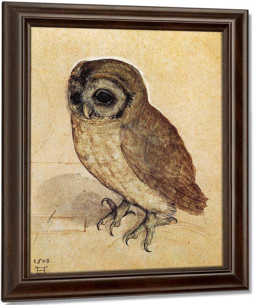 The Little Owl 1506 By Albrecht Durer Fine Art Print