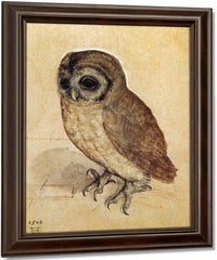 The Little Owl 1506 By Albrecht Durer Fine Art Print