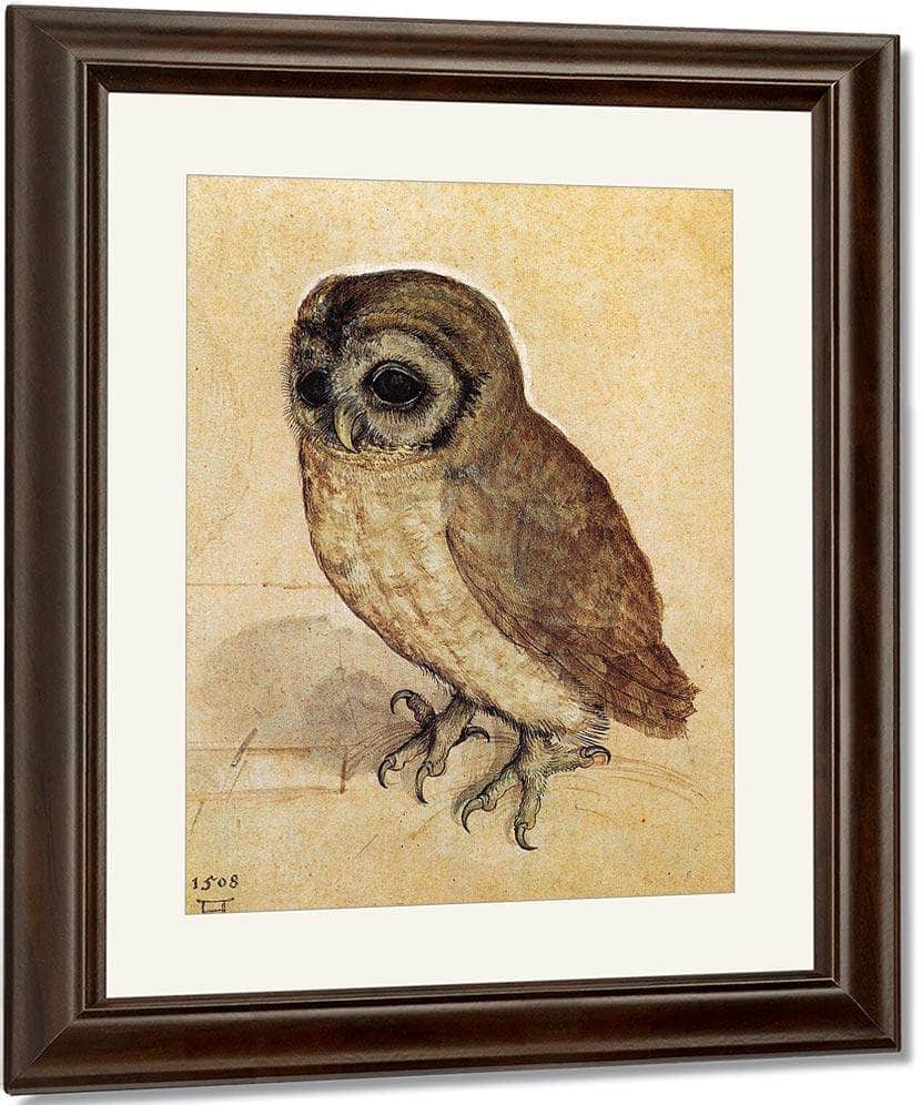 The Little Owl 1506 By Albrecht Durer Fine Art Print
