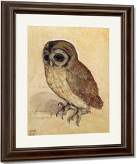 The Little Owl 1506 By Albrecht Durer Fine Art Print