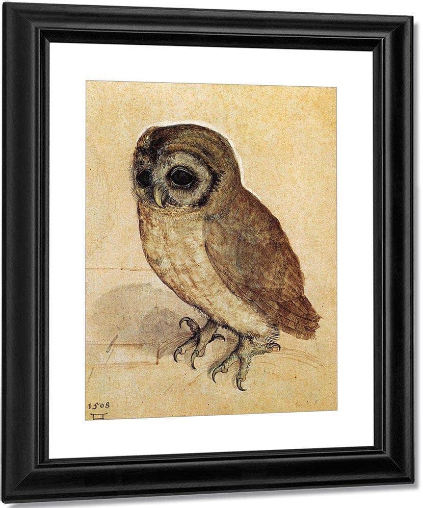 The Little Owl 1506 By Albrecht Durer Fine Art Print