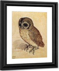 The Little Owl 1506 By Albrecht Durer Fine Art Print