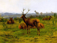 The Monarch Of The Herd Painting Rosa Bonheur Canvas Art Fine Art Print