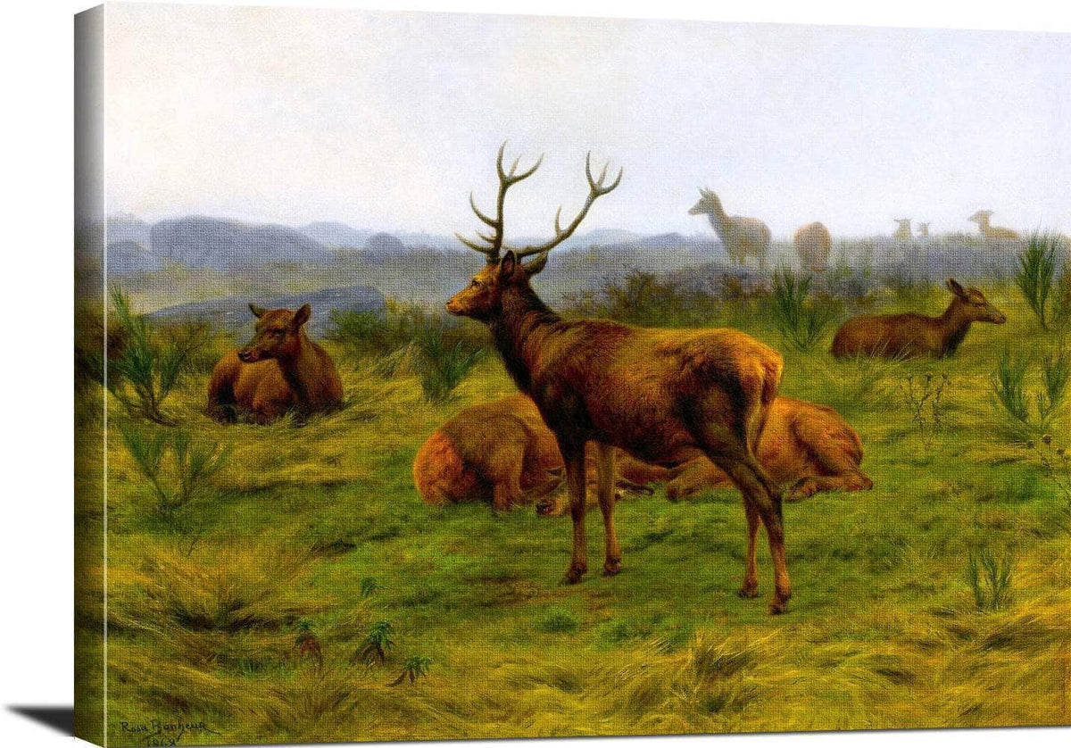 The Monarch Of The Herd Painting Rosa Bonheur Canvas Art Fine Art Print