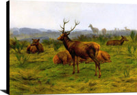 The Monarch Of The Herd Painting Rosa Bonheur Canvas Art Fine Art Print