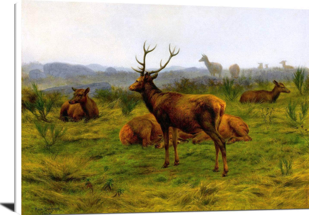 The Monarch Of The Herd Painting Rosa Bonheur Canvas Art Fine Art Print