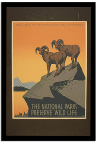 The National Park  Vintage Poster Fine Art Print