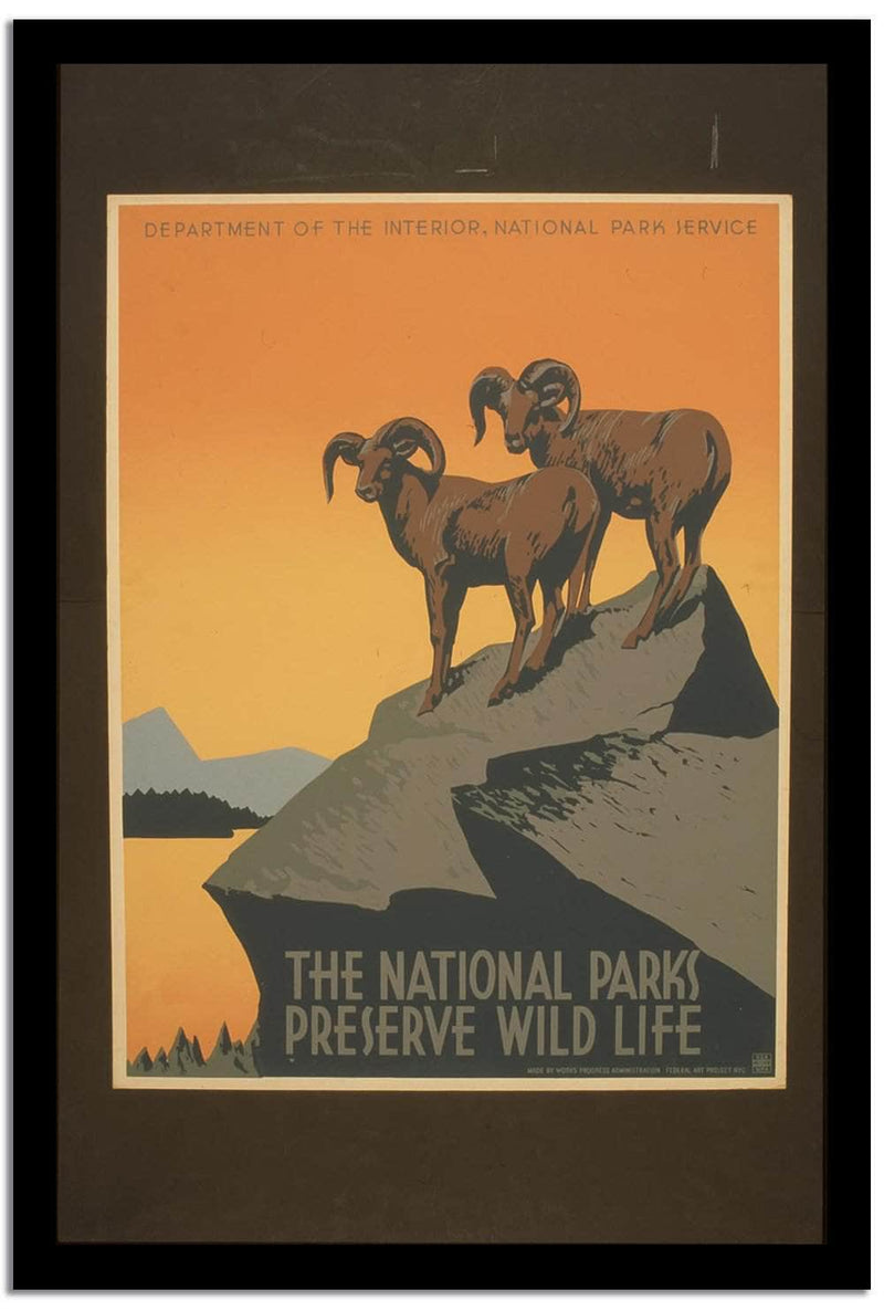 The National Park  Vintage Poster Fine Art Print
