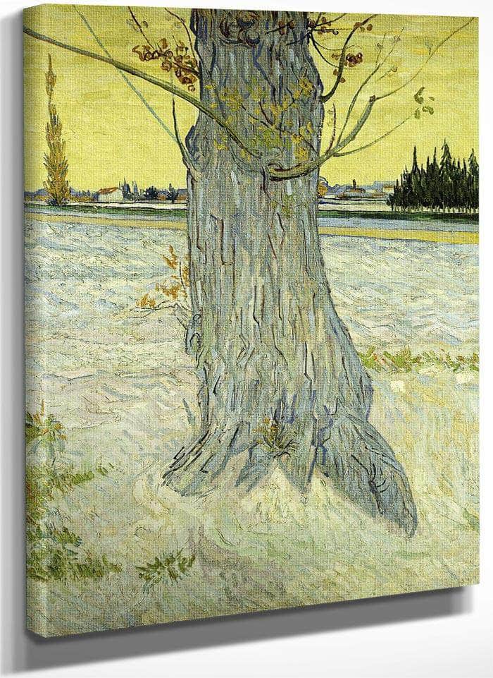 The Old Tree By Vincent Van Gogh Fine Art Print