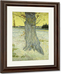 The Old Tree By Vincent Van Gogh Fine Art Print