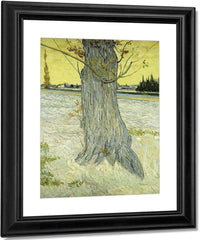 The Old Tree By Vincent Van Gogh Fine Art Print