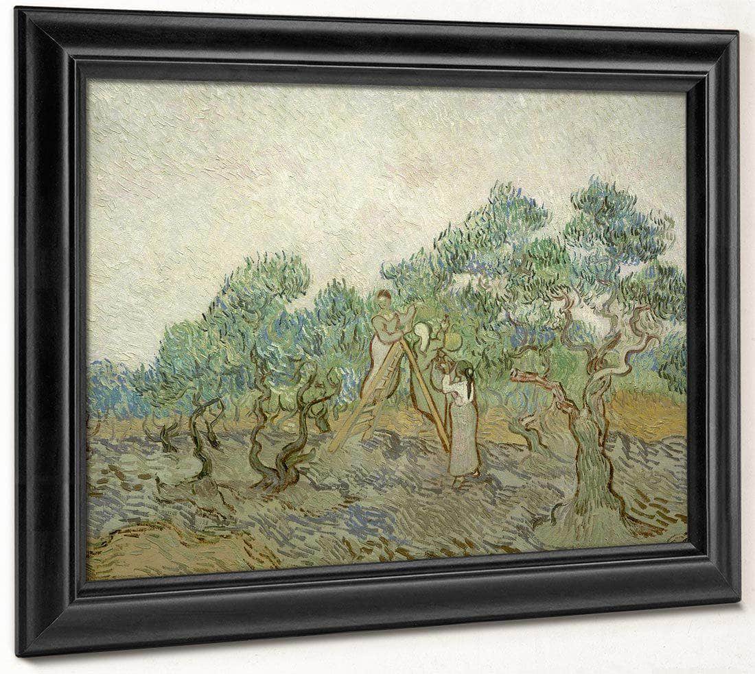 The Olive Orchard By Vincent Van Gogh Fine Art Print