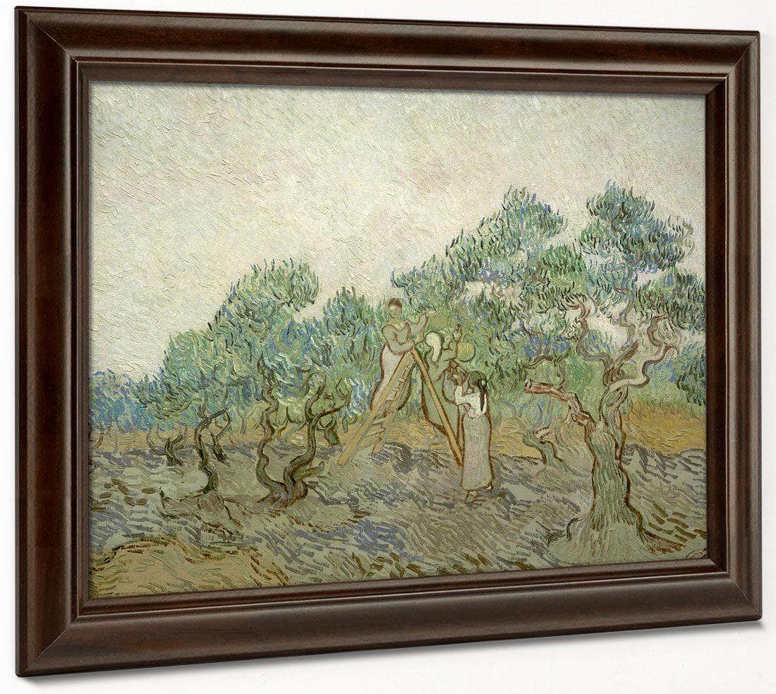 The Olive Orchard By Vincent Van Gogh Fine Art Print