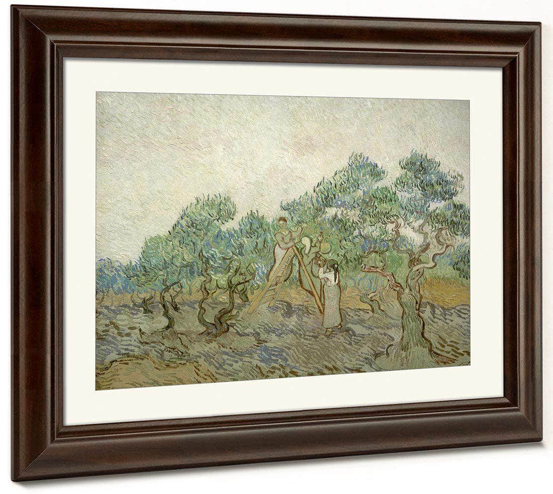 The Olive Orchard By Vincent Van Gogh Fine Art Print