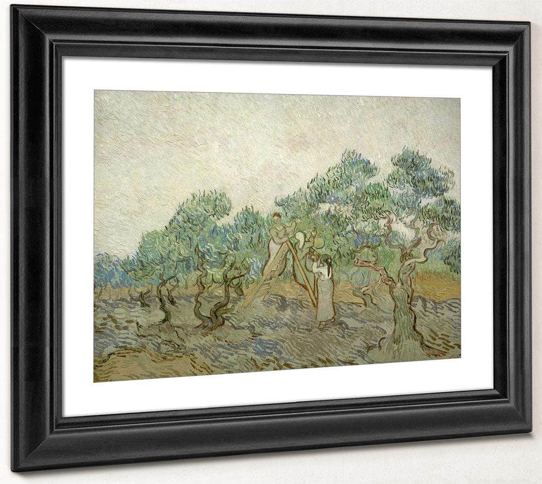 The Olive Orchard By Vincent Van Gogh Fine Art Print